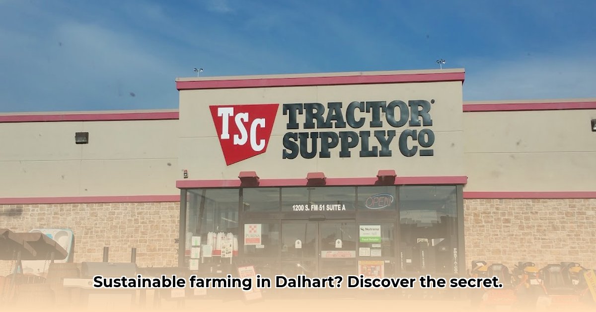 tractor-supply-in-dalhart-texas